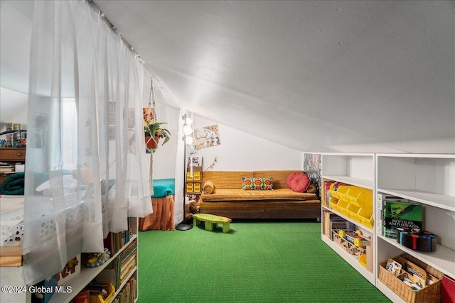 290 Camden Valley Rd, Salem, NY 12873 - game room featuring carpet and vaulted ceiling
