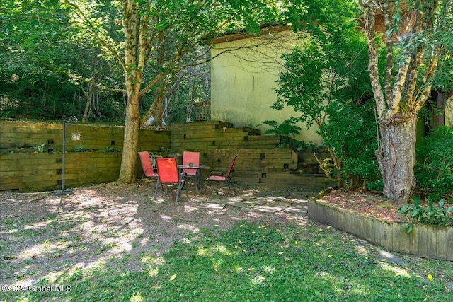 290 Camden Valley Rd, Salem, NY 12873 - view of yard