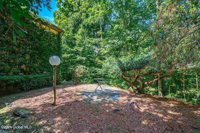 290 Camden Valley Rd, Salem, NY 12873 - view of yard