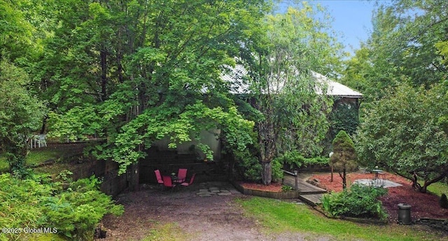 290 Camden Valley Rd, Salem, NY 12873 - view of yard