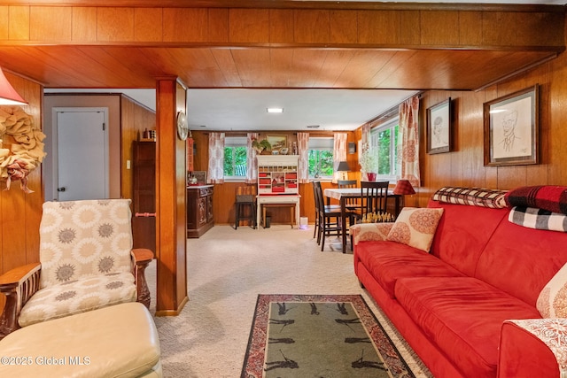 22 Sylvan Ct, Clifton Park, NY 12065 - living room with wooden ceiling, wooden walls, plenty of natural light, and carpet