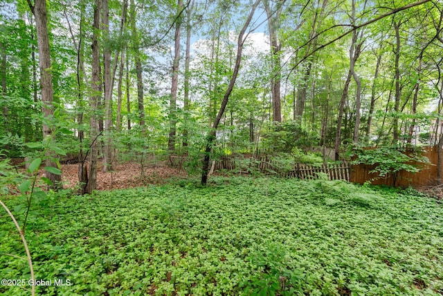 22 Sylvan Ct, Clifton Park, NY 12065 - view of yard
