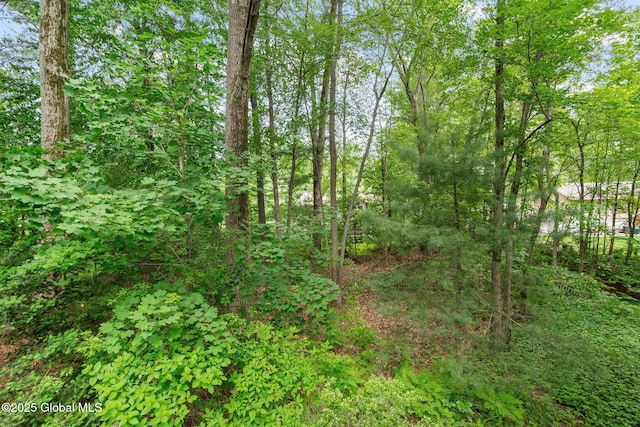22 Sylvan Ct, Clifton Park, NY 12065 - view of wooded area