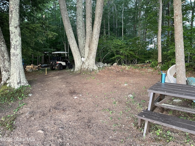 1469 S Shore Rd, Hadley, NY 12835 - view of yard