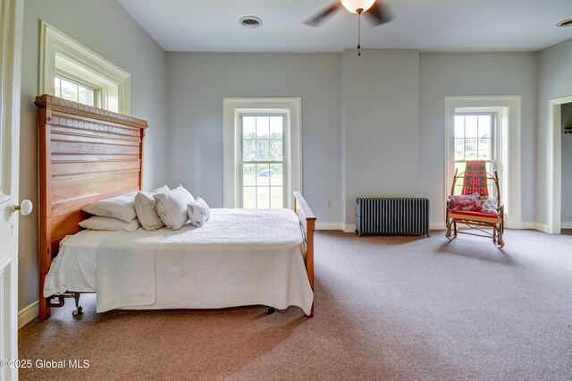 356 Dillenbeck Rd, Little Falls, NY 13365 - photo 59