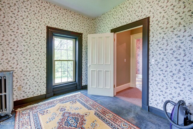 356 Dillenbeck Rd, Little Falls, NY 13365 - photo 67