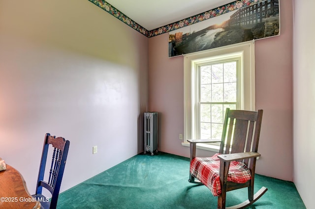 356 Dillenbeck Rd, Little Falls, NY 13365 - photo 69