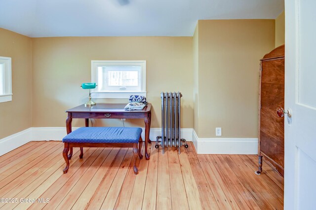 356 Dillenbeck Rd, Little Falls, NY 13365 - photo 76