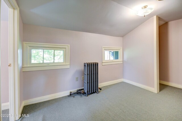 356 Dillenbeck Rd, Little Falls, NY 13365 - photo 78
