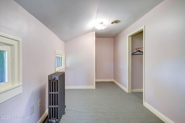 356 Dillenbeck Rd, Little Falls, NY 13365 - photo 79