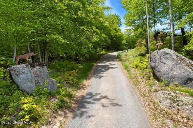 84 Twin Boulder Dr, Bolton, NY 12824 - photo 7