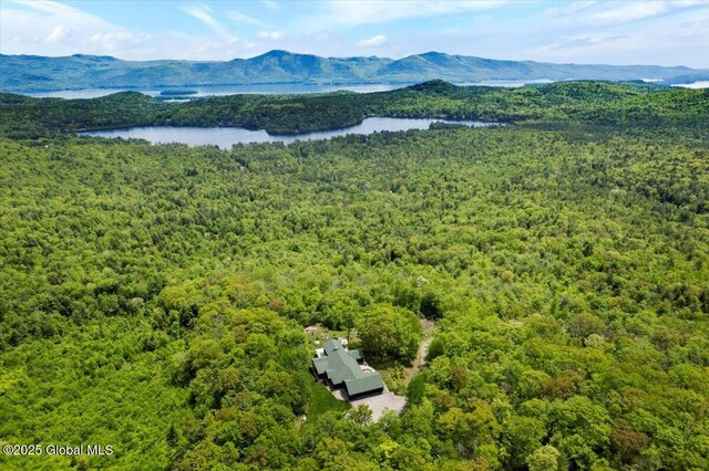 84 Twin Boulder Dr, Bolton, NY 12824 - photo 4