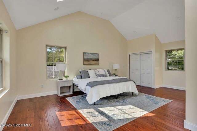 6 Maple Ter, Bethlehem, NY 12054 - bedroom with lofted ceiling, multiple windows, dark wood-style floors, and a closet