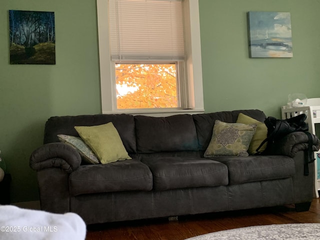 3 Meacham St, Port Henry, NY 12974 - living room featuring wood finished floors