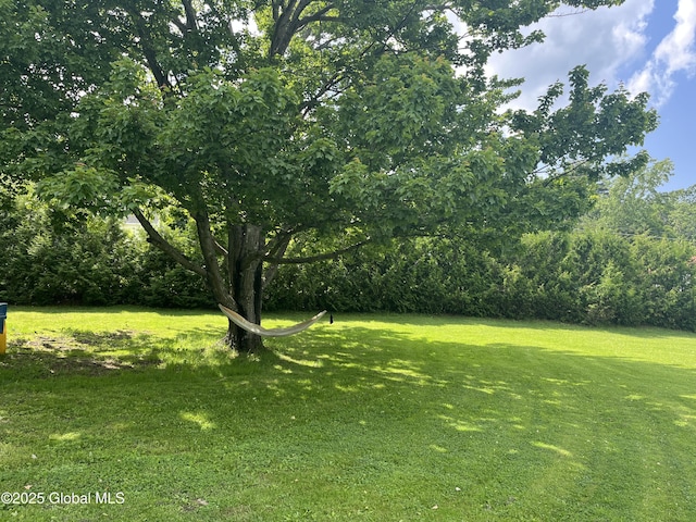 3 Meacham St, Port Henry, NY 12974 - view of grassy yard