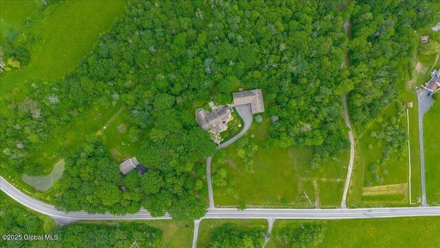2034 Duanesburg Churches Rd, Duanesburg, NY 12053 - drone / aerial view