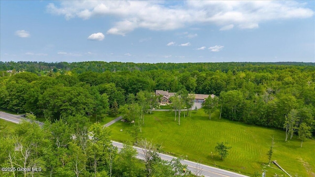 2034 Duanesburg Churches Rd, Duanesburg, NY 12053 - view from above of property featuring a heavily wooded area