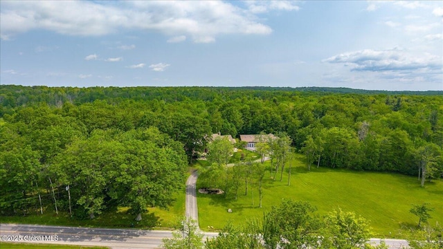 2034 Duanesburg Churches Rd, Duanesburg, NY 12053 - bird's eye view of a forest