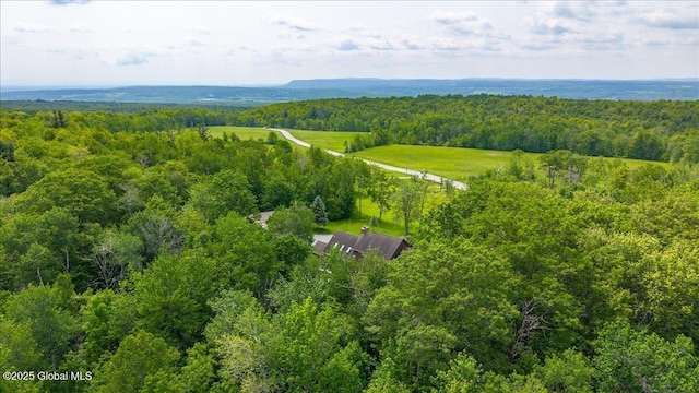 2034 Duanesburg Churches Rd, Duanesburg, NY 12053 - view of subject property with a forest