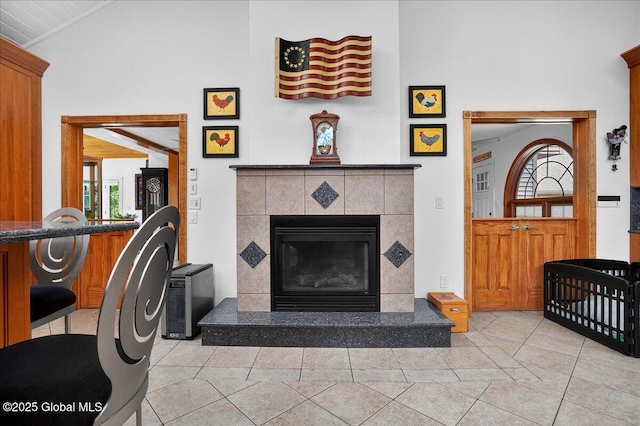 2034 Duanesburg Churches Rd, Duanesburg, NY 12053 - living room featuring lofted ceiling, a fireplace, and light tile patterned flooring