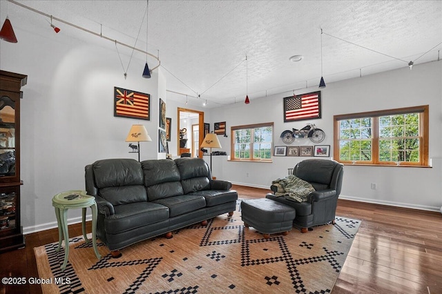 2034 Duanesburg Churches Rd, Duanesburg, NY 12053 - living area with a textured ceiling, hardwood / wood-style floors, and track lighting