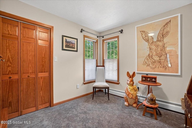 2034 Duanesburg Churches Rd, Duanesburg, NY 12053 - living area featuring carpet flooring and a textured ceiling