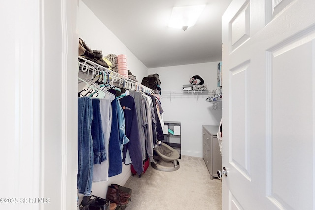 12 Basswood Ct, Ballston, NY 12019 - photo 31