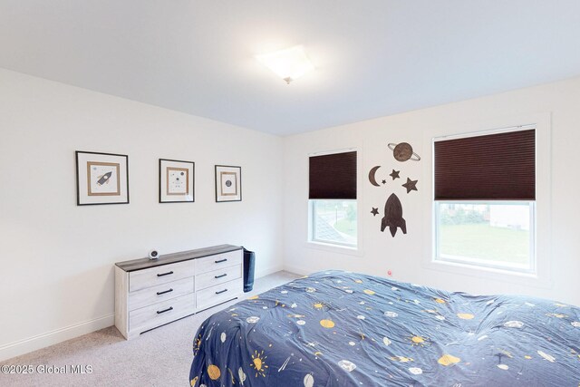 12 Basswood Ct, Ballston, NY 12019 - photo 34