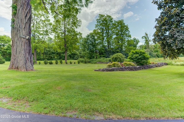 5037 Sacandaga Rd, Galway, NY 12074 - photo 51