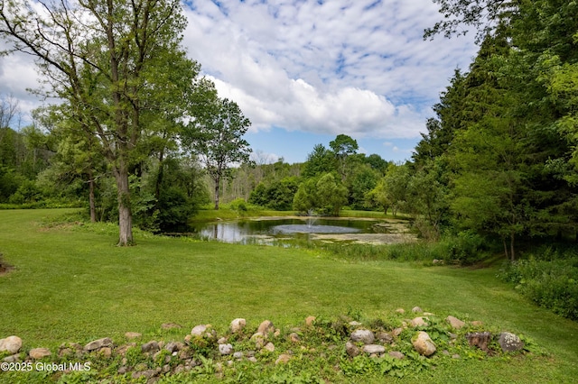 5037 Sacandaga Rd, Galway, NY 12074 - photo 58