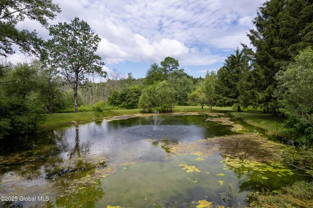 5037 Sacandaga Rd, Galway, NY 12074 - photo 59