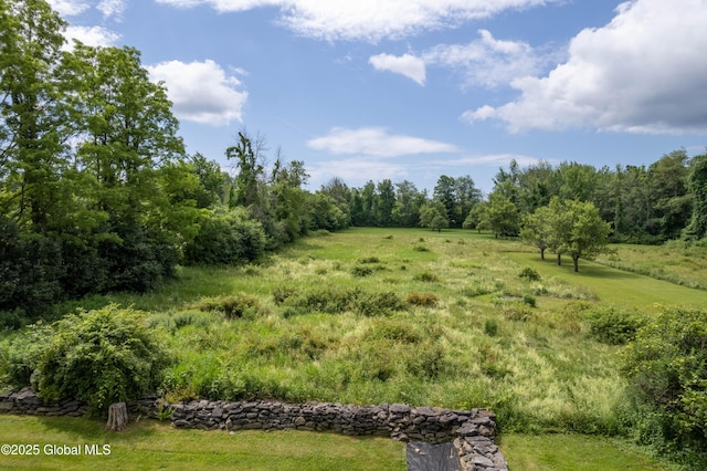 5037 Sacandaga Rd, Galway, NY 12074 - photo 64