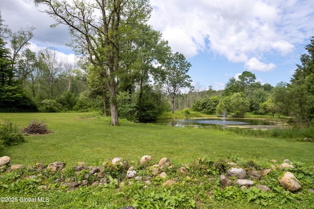 5037 Sacandaga Rd, Galway, NY 12074 - photo 73