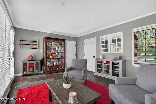 47 Mountainview Ter, North Greenbush, NY 12144 - living room with plenty of natural light, ornamental molding, recessed lighting, and stone tile floors