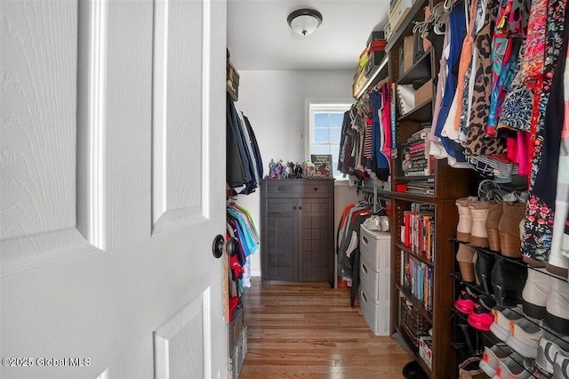 47 Mountainview Ter, North Greenbush, NY 12144 - walk in closet with wood finished floors