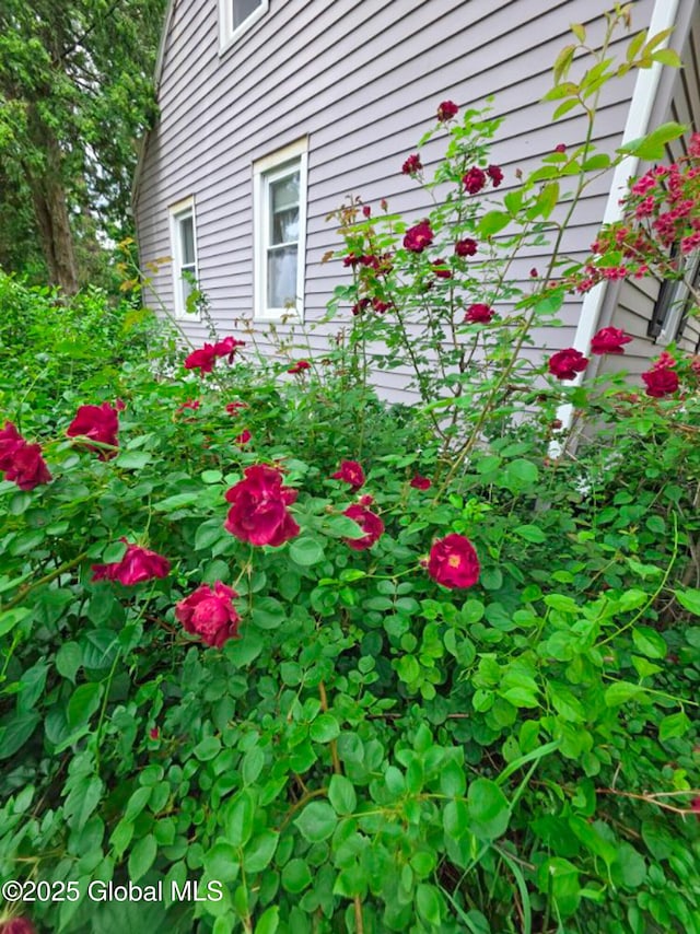 9 Arlene Ave, Guilderland, NY 12203 - exterior view