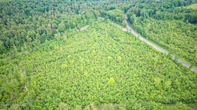 L2 Nine Mile Tree Rd, Mayfield, NY 12078 - photo 3