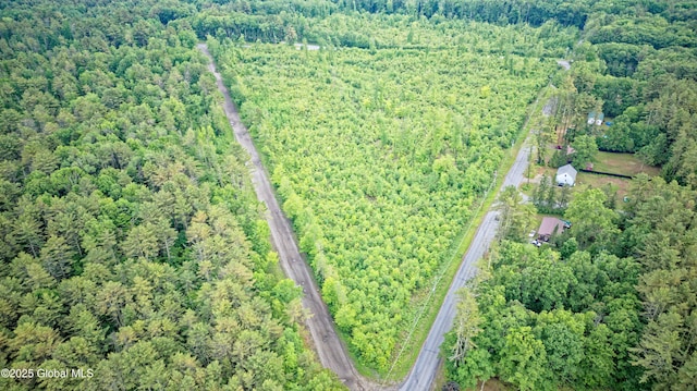 L2 Nine Mile Tree Rd, Mayfield, NY 12078 - photo 1