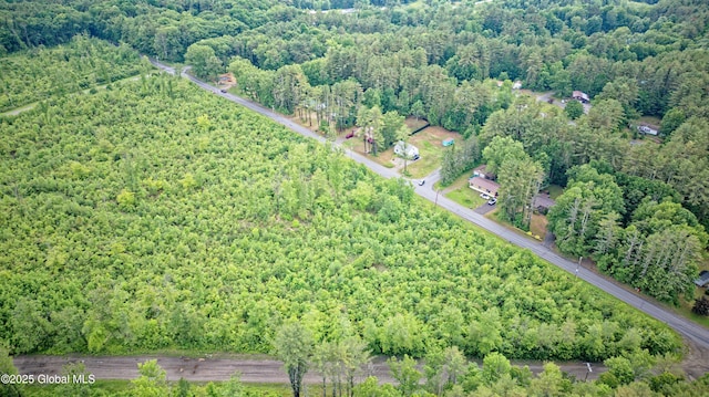 L2 Nine Mile Tree Rd, Mayfield, NY 12078 - photo 4