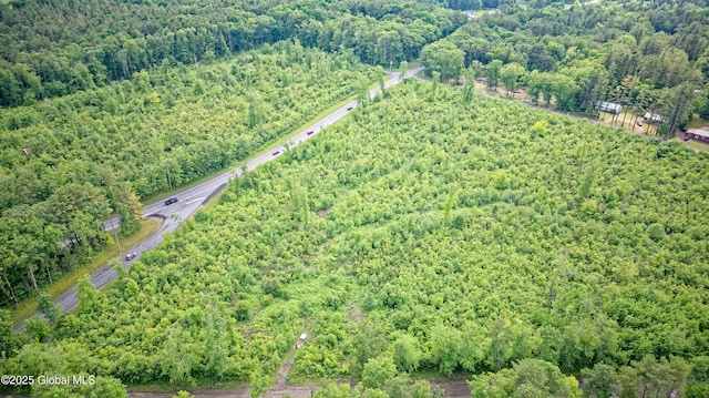 L2 Nine Mile Tree Rd, Mayfield, NY 12078 - photo 5