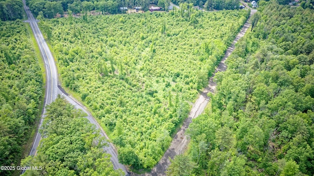 L2 Nine Mile Tree Rd, Mayfield, NY 12078 - photo 6