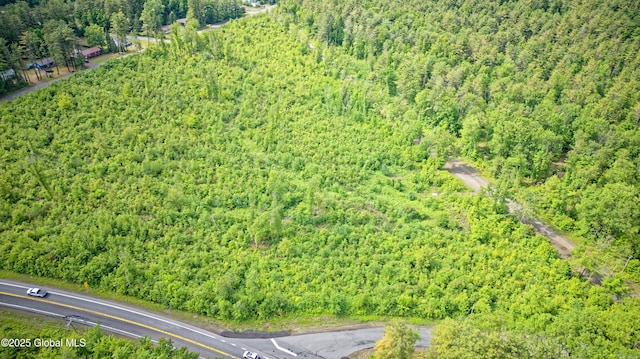 L2 Nine Mile Tree Rd, Mayfield, NY 12078 - photo 7