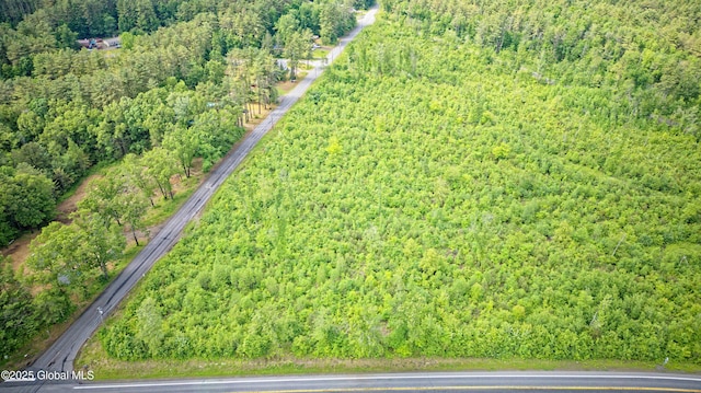 L2 Nine Mile Tree Rd, Mayfield, NY 12078 - photo 8
