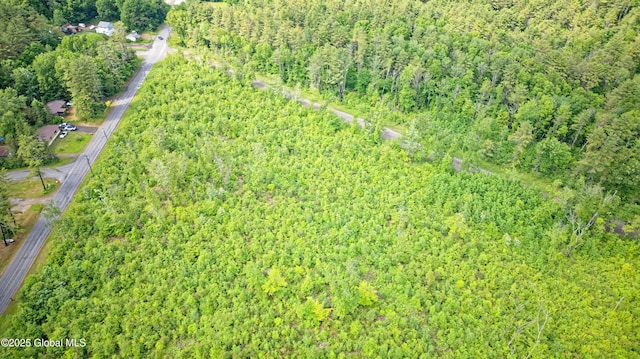 L2 Nine Mile Tree Rd, Mayfield, NY 12078 - photo 9