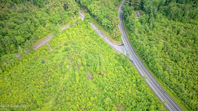 L2 Nine Mile Tree Rd, Mayfield, NY 12078 - photo 10
