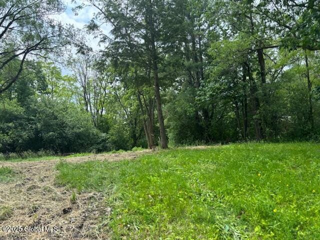 1741 Scotch Ridge Rd, Princetown, NY 12056