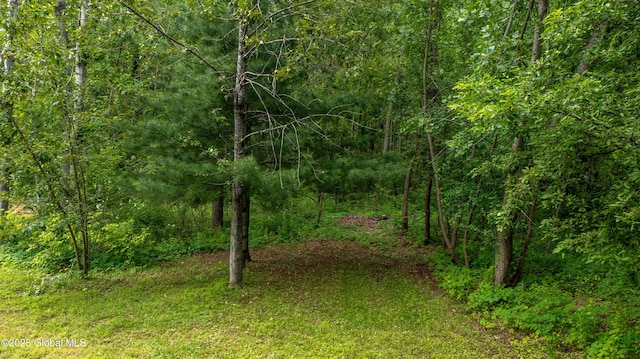 L5.1 5th Ave, Gloversville, NY 12078 - photo 11