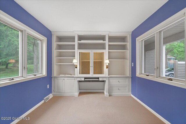 23 Collins Ter, Saratoga Springs, Outside, NY 12866 - photo 21