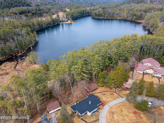 4A High Pines Ter, Warrensburg, NY 12817 - view of property location with a nearby body of water