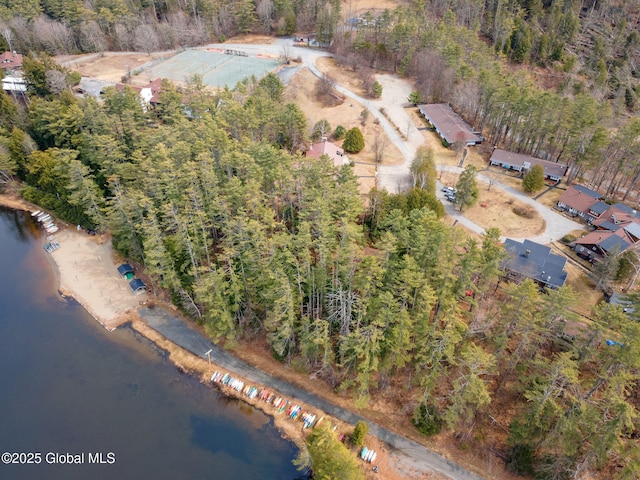 4A High Pines Ter, Warrensburg, NY 12817 - aerial overview of property's location with a large body of water and a forest